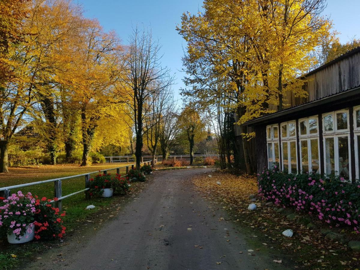 Grosse, Helle Ferienwohnung Mit 2 Balkonen Auf Dem Bauernhof In Der Lueneburger Heide Oetzen Exterior foto
